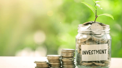 5 Investment Tips for Beginners: First Steps